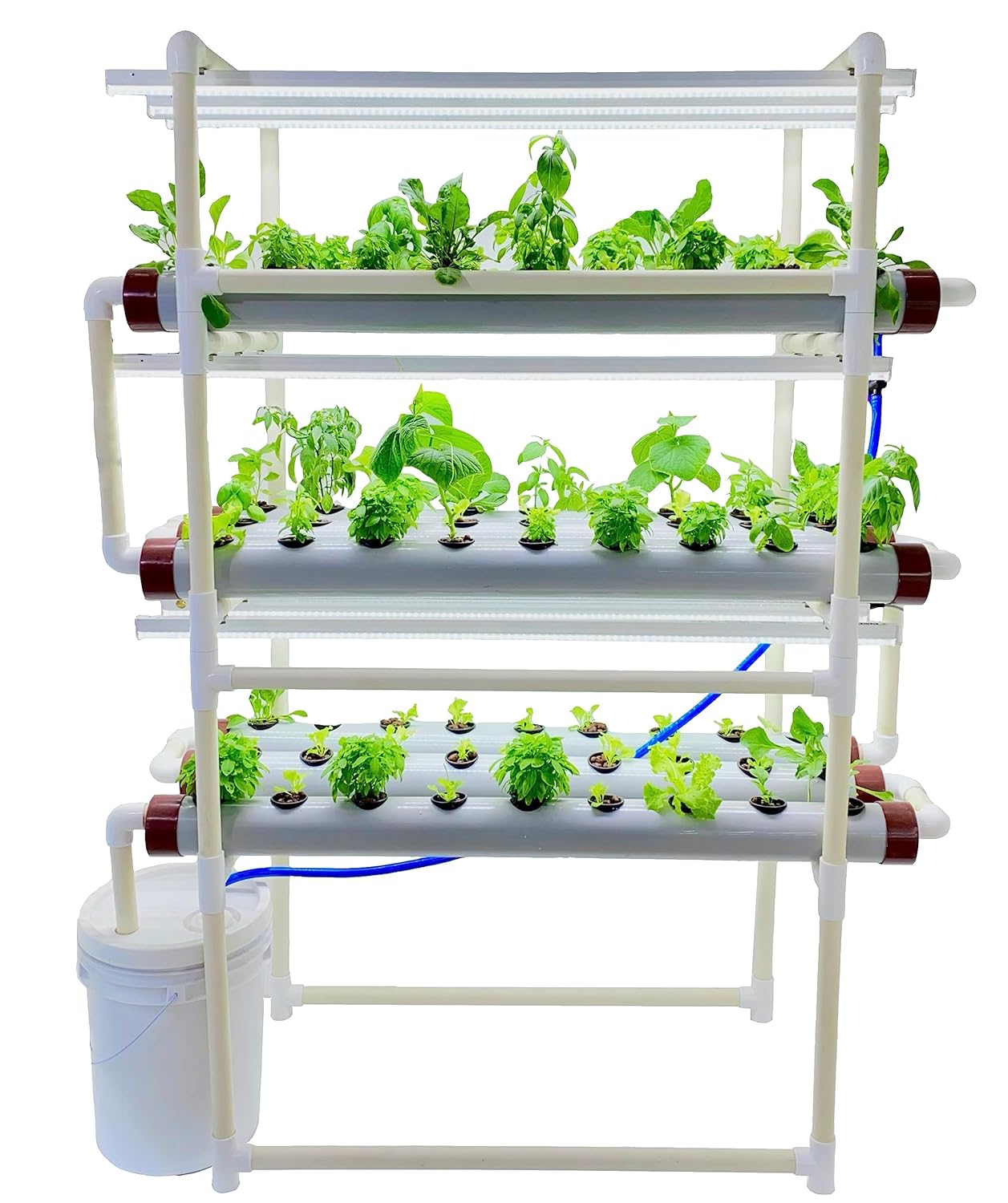 Tashi Home Indoor NFT Hydroponic